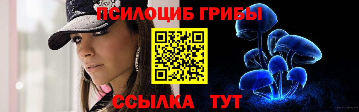 Галлюциногенные грибы Cubensis Саранск